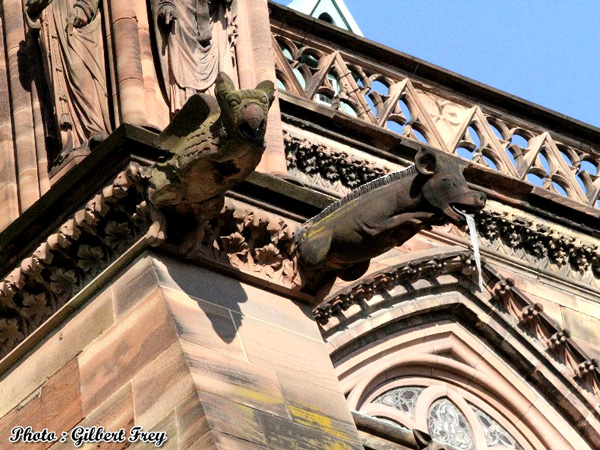 Cath�drale de Strasbourg
