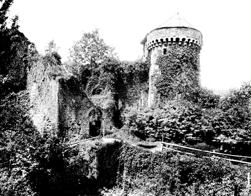 Ch�teau de Foug�res (Bretagne).