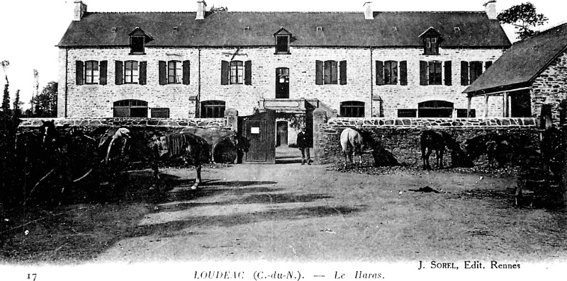 Haras de Loud�ac (Bretagne).
