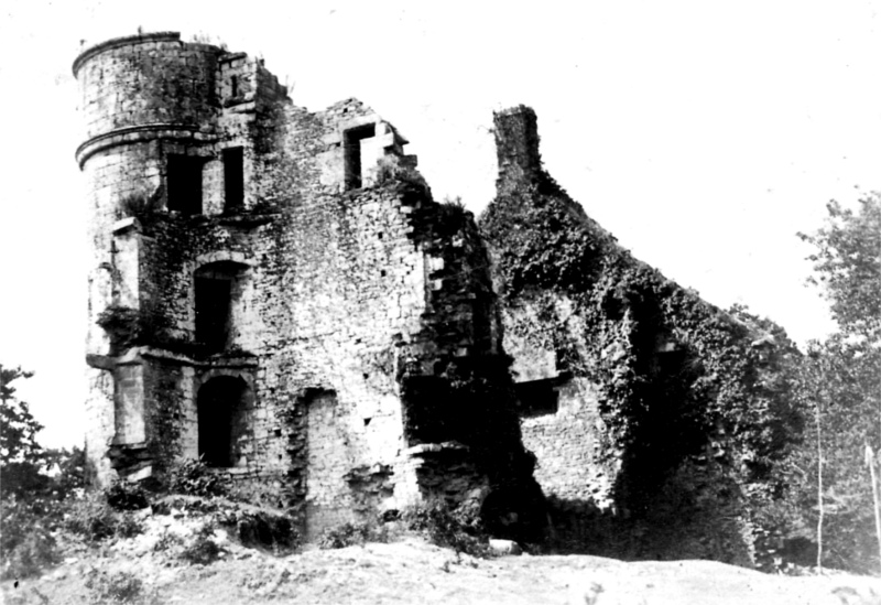 Ruines de Rust�phan � Nizon (Bretagne).